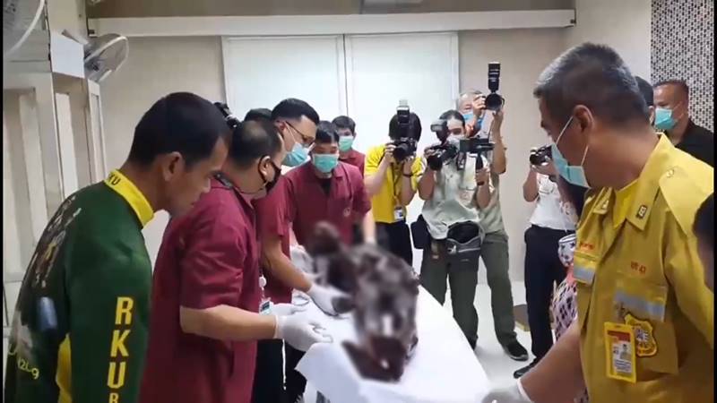 ซีอุย ซีอุย