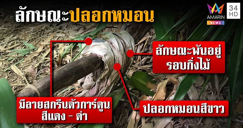 ข่าวน้องชมพู่ ข่าวน้องชมพู่