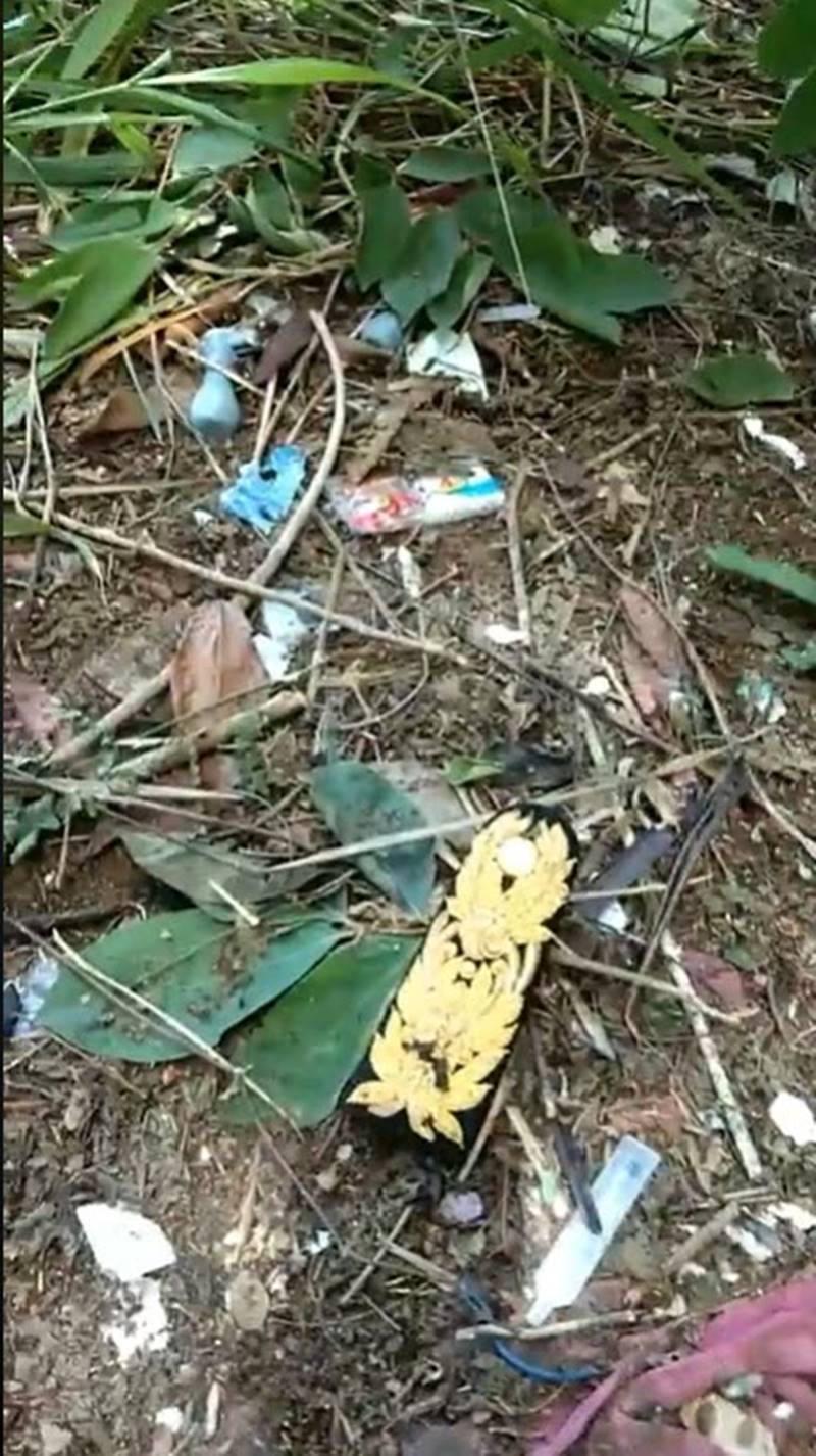 ทวี ไกรคุปต์ ทวี ไกรคุปต์