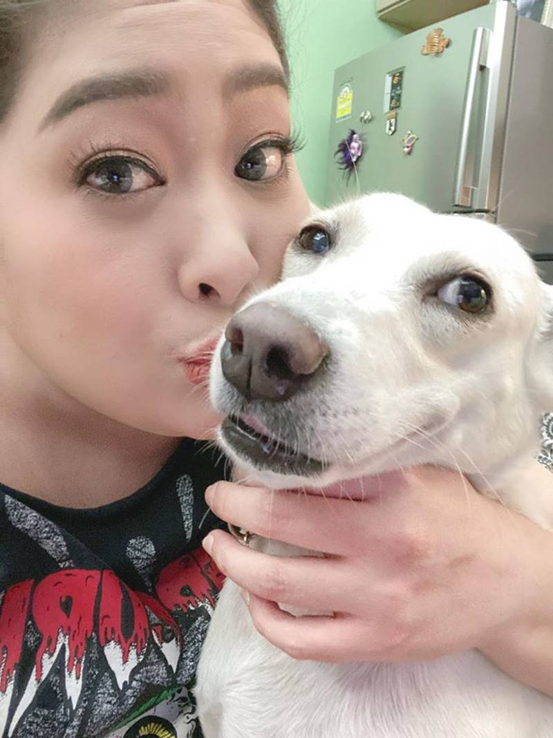 สุนัขทรงเลี้ยง สุนัขทรงเลี้ยง