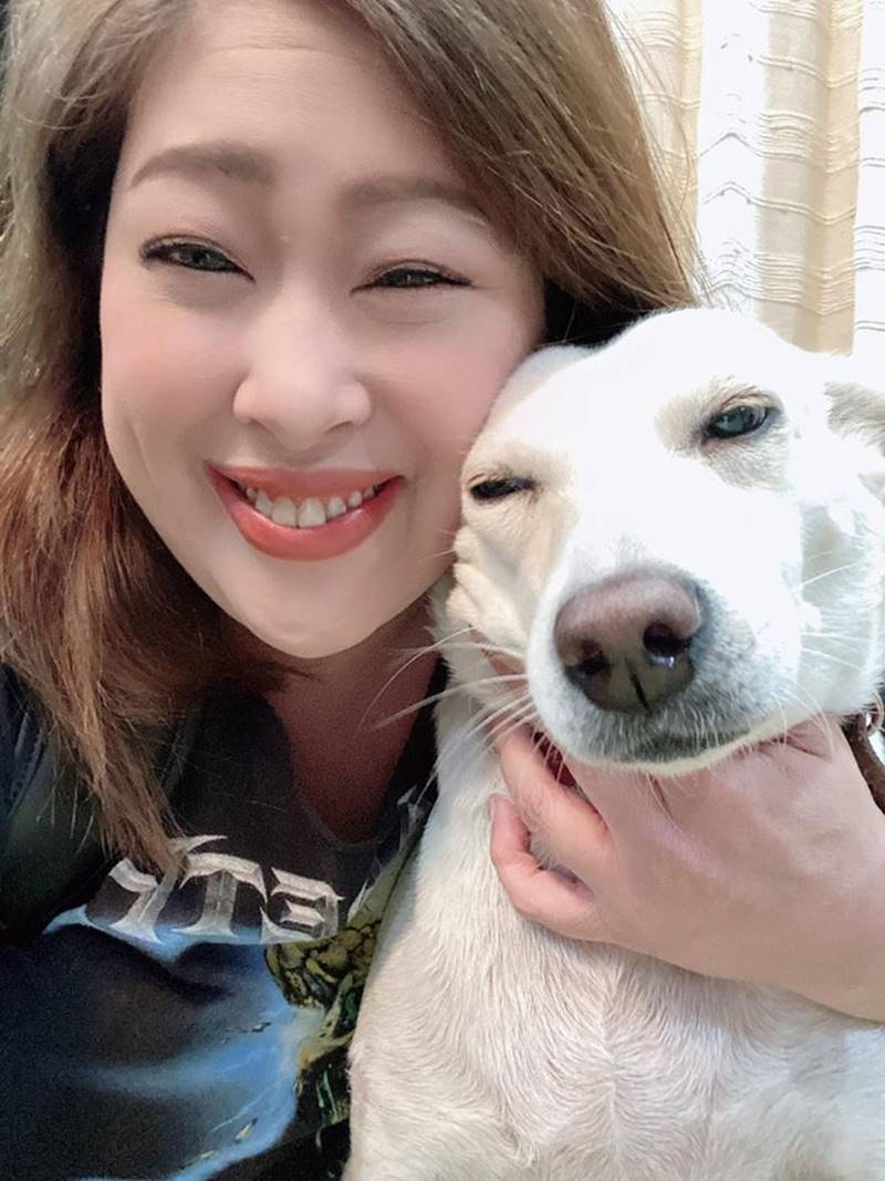 สุนัขทรงเลี้ยง สุนัขทรงเลี้ยง