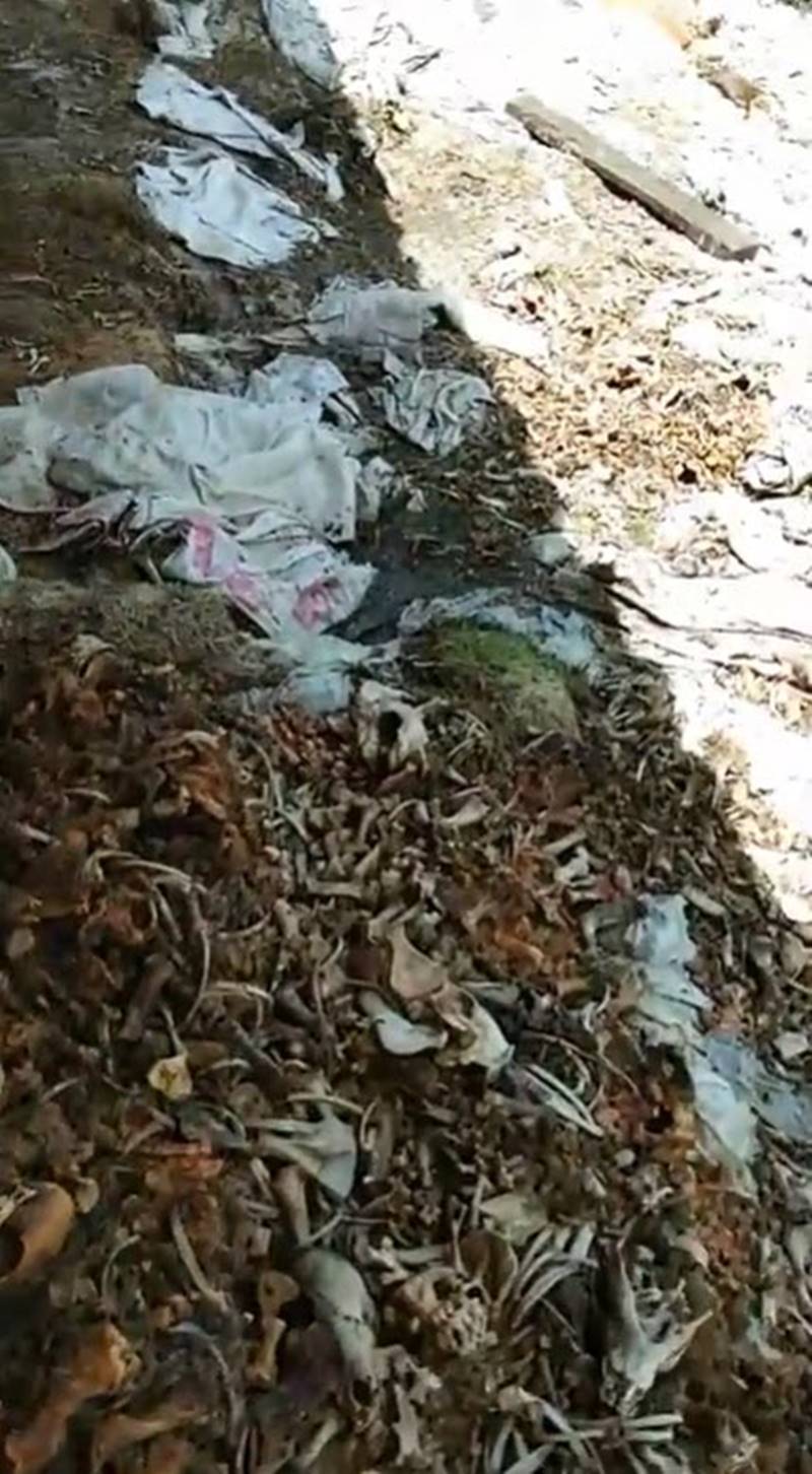 ทวี ไกรคุปต์ ทวี ไกรคุปต์