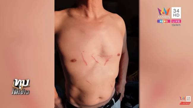 มรดกเลือด มรดกเลือด