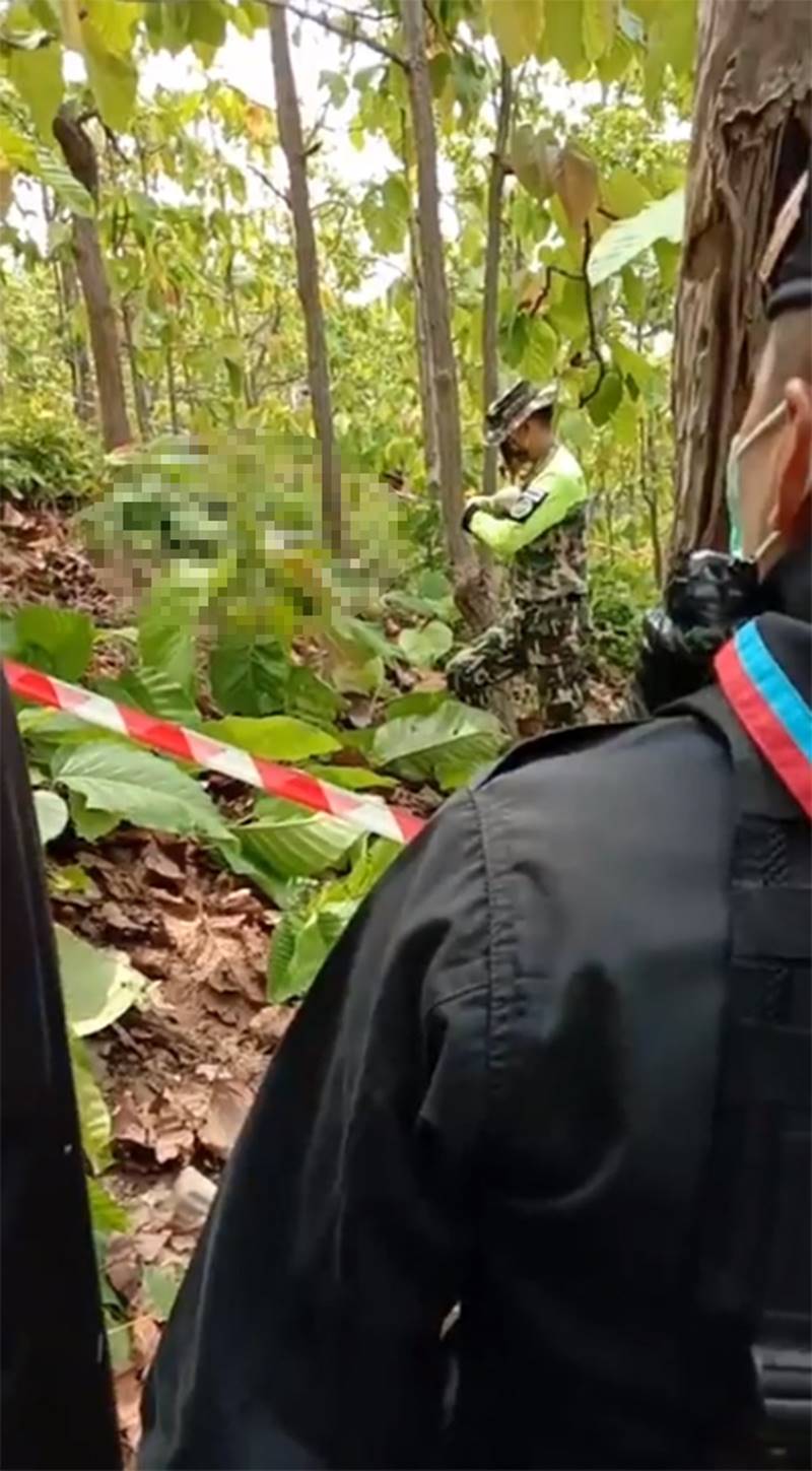 ชายเดินเข้าป่าแม่แจ่ม ชายเดินเข้าป่าแม่แจ่ม