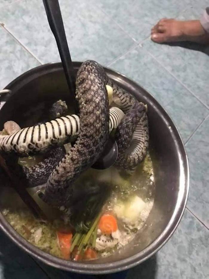 เมนูเปิบพิศดาร เมนูเปิบพิศดาร