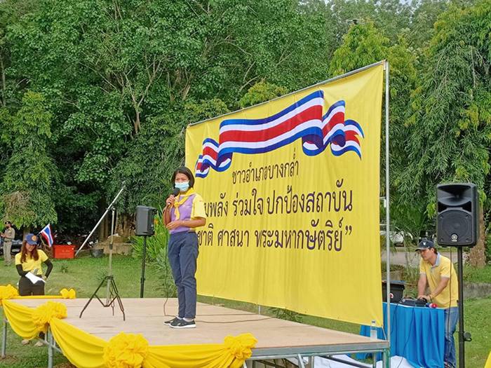 ปกป้องสถาบัน ปกป้องสถาบัน