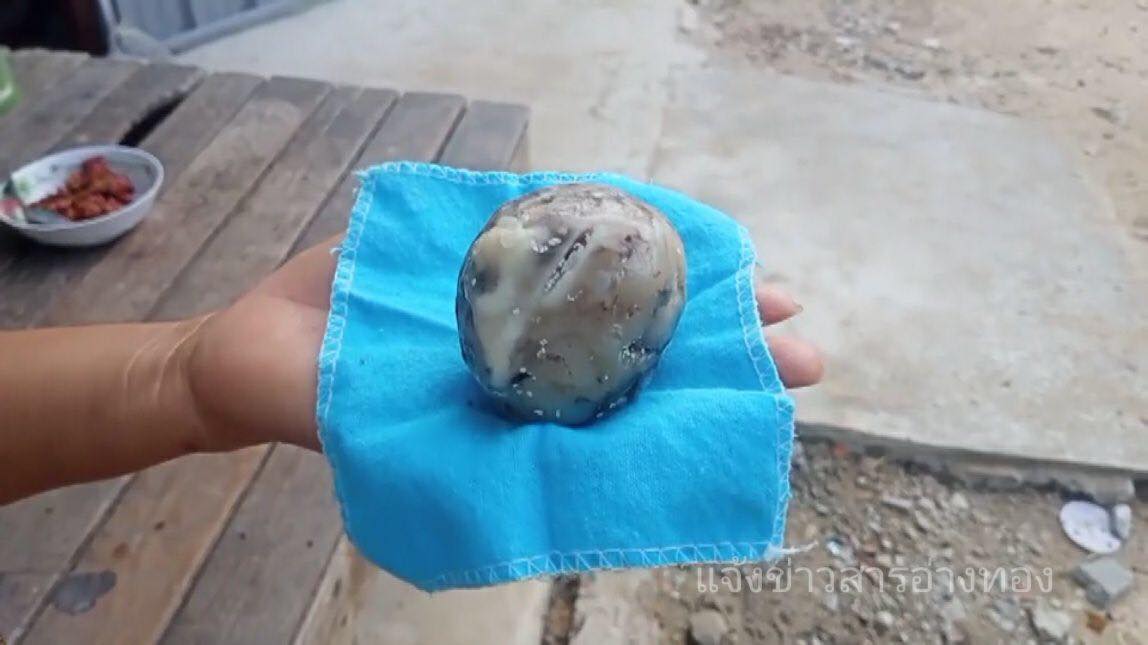 อ้วกวาฬ อ้วกวาฬ