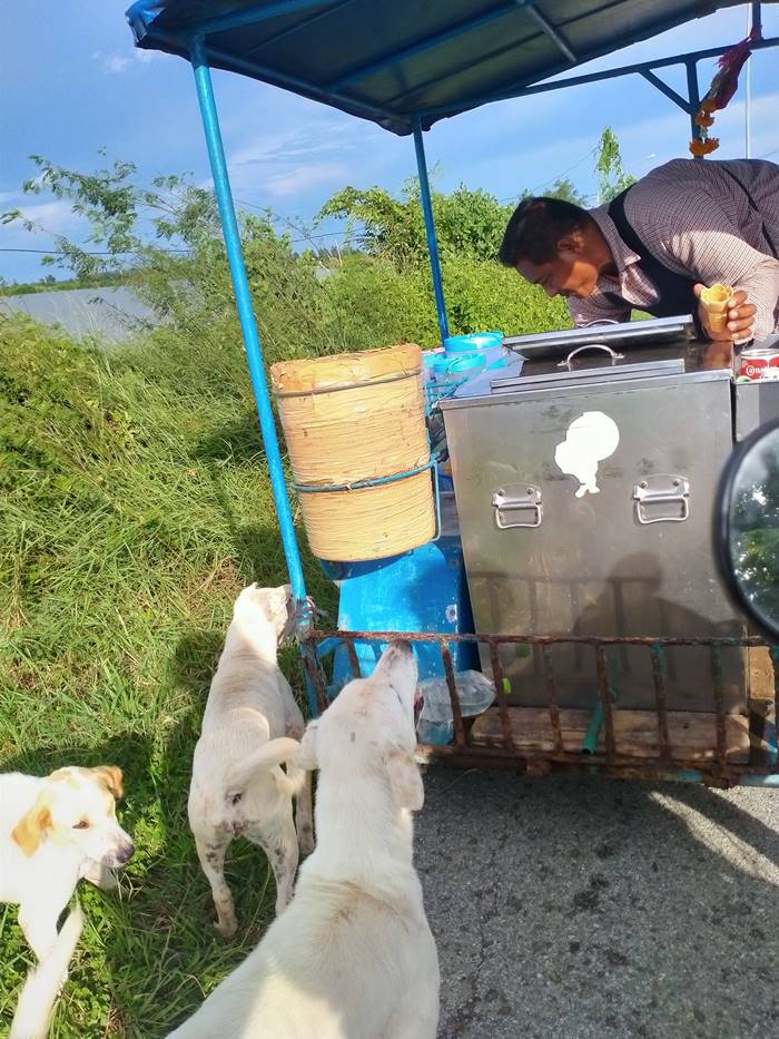 ไอศกรีมรถเข็น ไอศกรีมรถเข็น