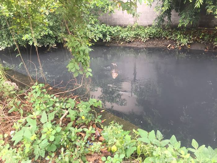 จระเข้ จระเข้