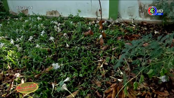 ปัญหาเพื่อนบ้าน ปัญหาเพื่อนบ้าน