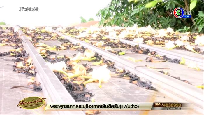 ปัญหาเพื่อนบ้าน ปัญหาเพื่อนบ้าน