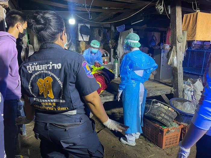 พิตบูลกัดคน พิตบูลกัดคน