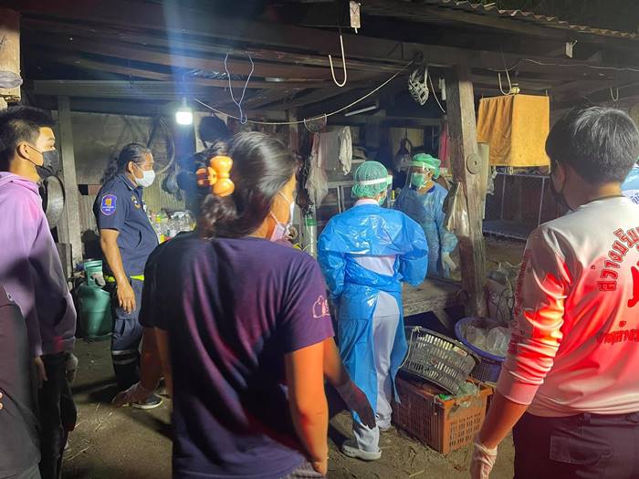 พิตบูลกัดคน พิตบูลกัดคน