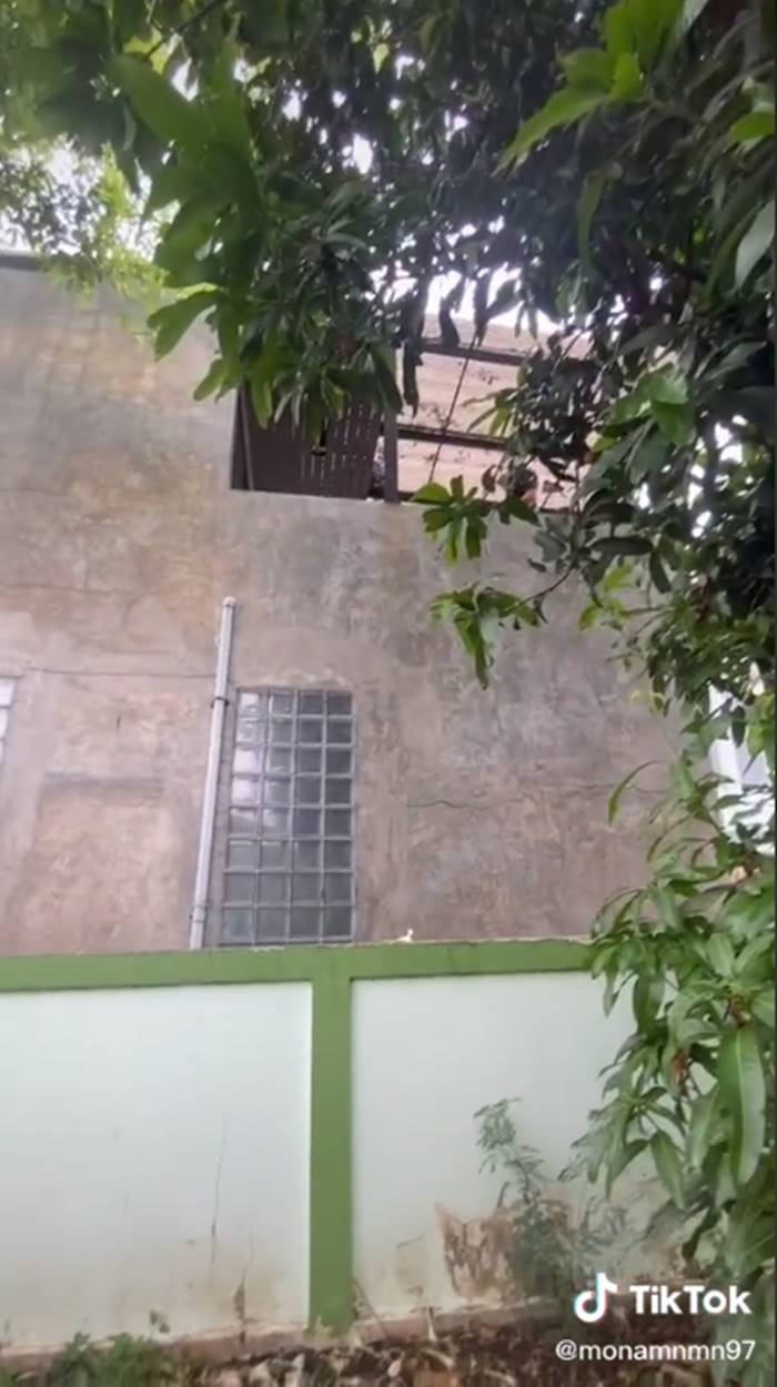 ปัญหาเพื่อนบ้าน ปัญหาเพื่อนบ้าน