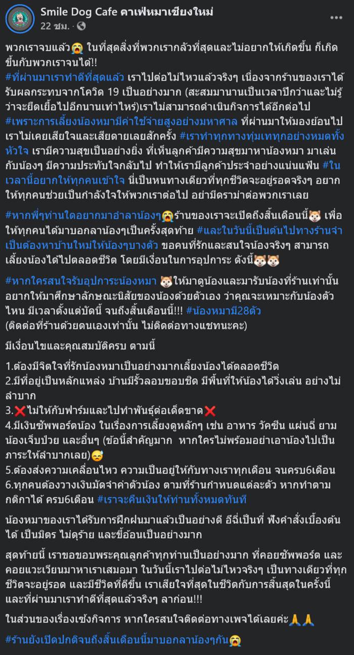 คาเฟ่หมาเชียงใหม่ คาเฟ่หมาเชียงใหม่