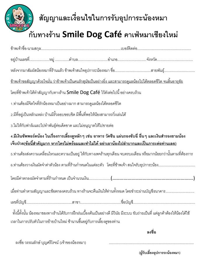 คาเฟ่หมาเชียงใหม่ คาเฟ่หมาเชียงใหม่