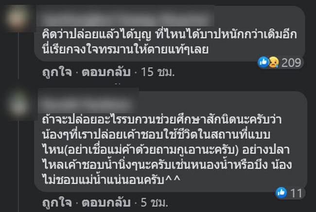 ปล่อยปลา ปล่อยปลา