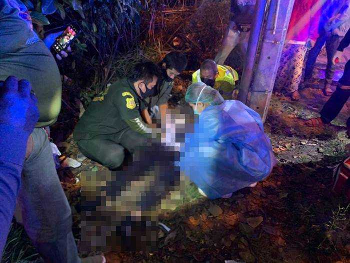 รถชนต้นไม้ รถชนต้นไม้