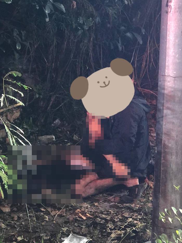 รถชนต้นไม้ รถชนต้นไม้