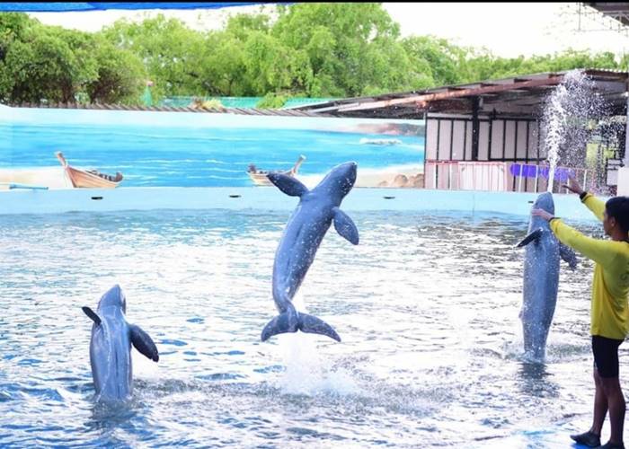 Oasis Seaworld Oasis Seaworld