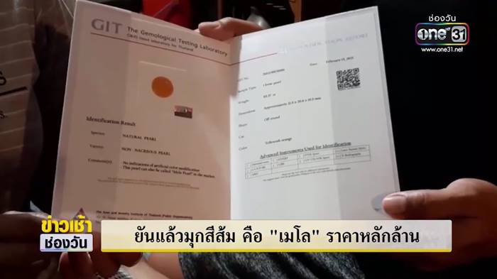 ไข่มุกเมโล ไข่มุกเมโล