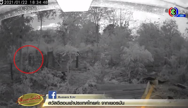 โจรขึ้นบ้าน โจรขึ้นบ้าน