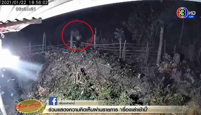 โจรขึ้นบ้าน โจรขึ้นบ้าน