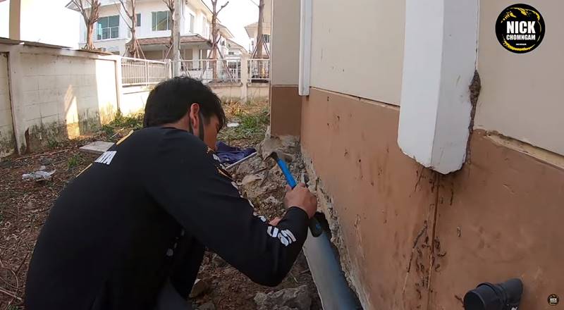 งูยักษ์คลองสามวา งูยักษ์คลองสามวา