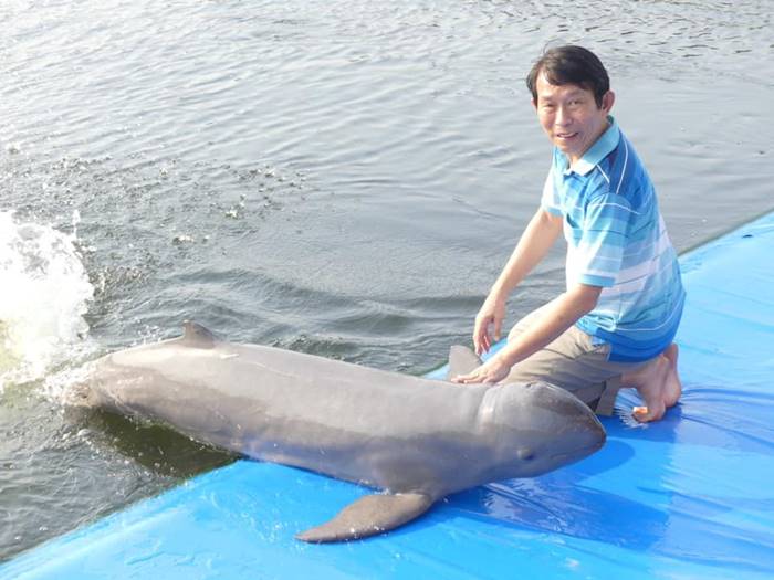 Oasis Seaworld Oasis Seaworld