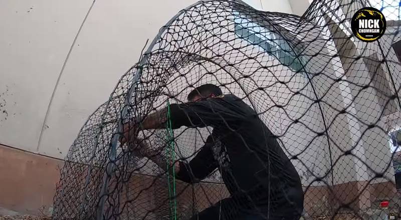 งูยักษ์คลองสามวา งูยักษ์คลองสามวา