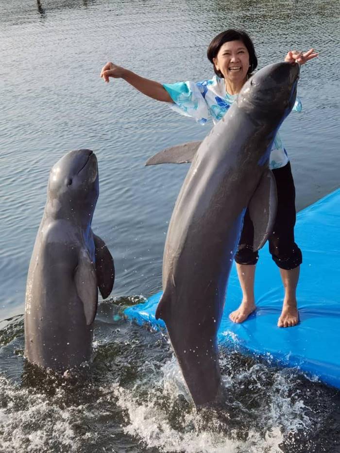 Oasis Seaworld Oasis Seaworld