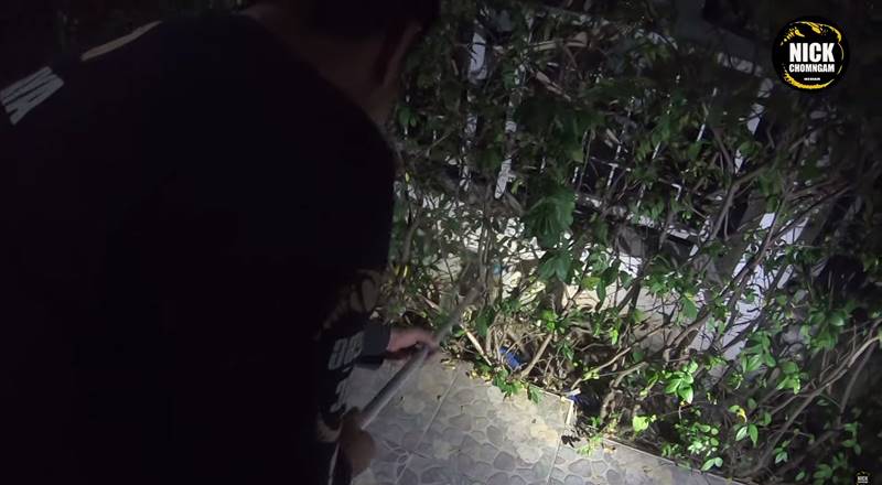 งูยักษ์คลองสามวา งูยักษ์คลองสามวา