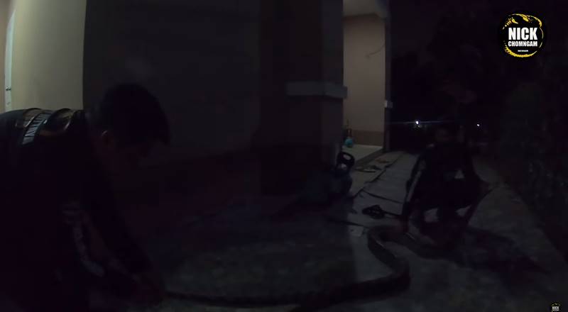 งูยักษ์คลองสามวา งูยักษ์คลองสามวา