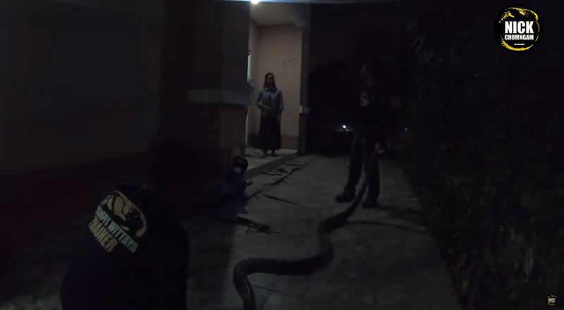 งูยักษ์คลองสามวา งูยักษ์คลองสามวา