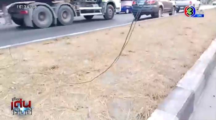 รถทับคนตาย รถทับคนตาย