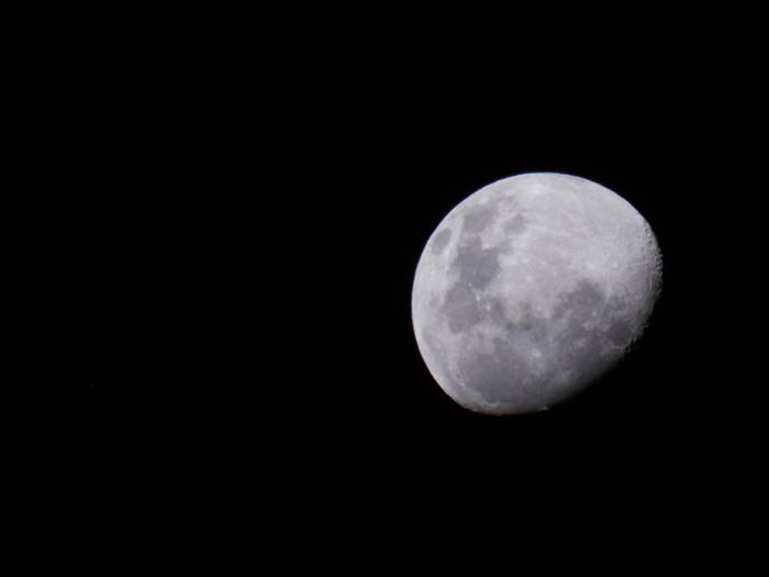 เอนก เหล่าธรรมทัศน์ เอนก เหล่าธรรมทัศน์