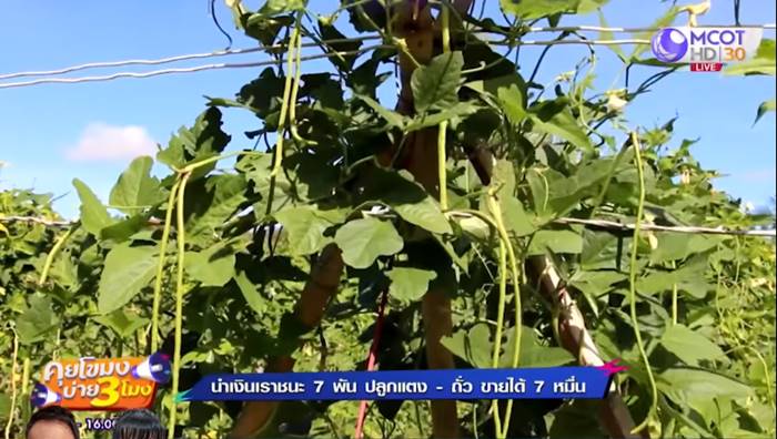 เราชนะ เราชนะ