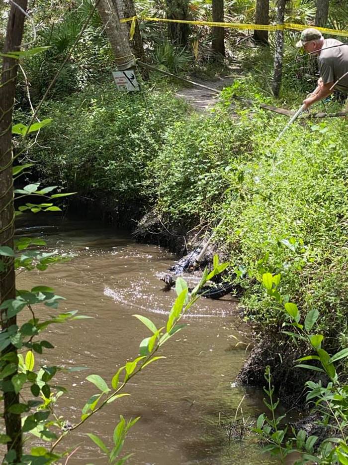 จระเข้กินคน จระเข้กินคน