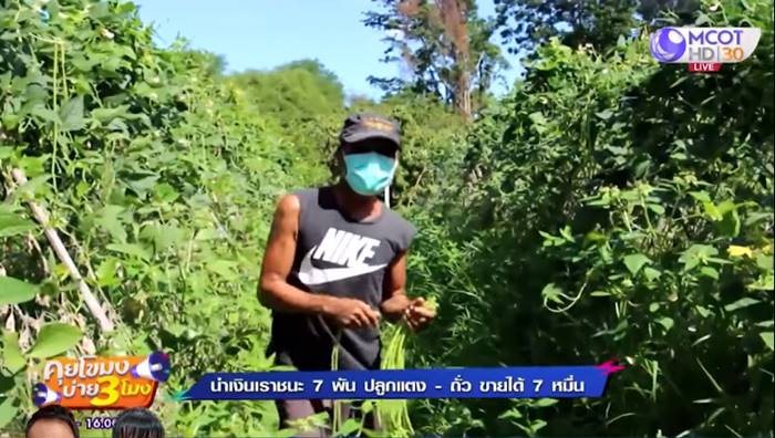 เราชนะ เราชนะ