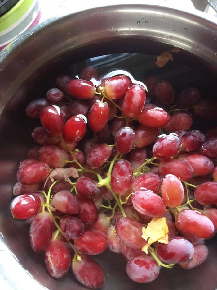 องุ่น องุ่น