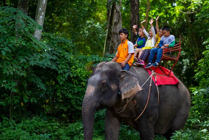 สวนเสือศรีราชา สวนเสือศรีราชา