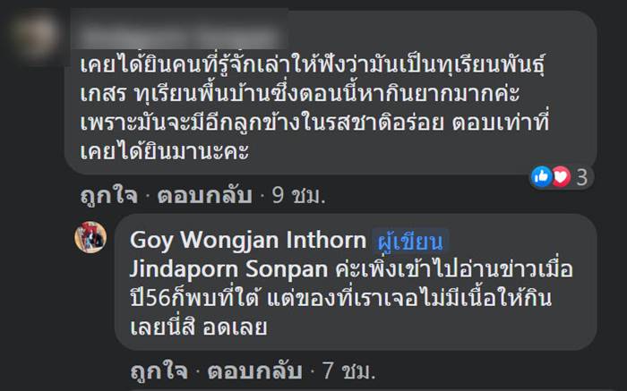 ทุเรียนแปลก ทุเรียนแปลก