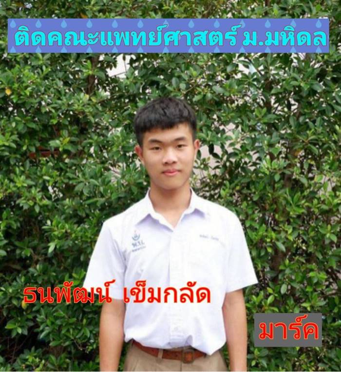 แฝดสาม แฝดสาม