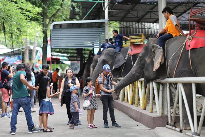 สวนเสือศรีราชา สวนเสือศรีราชา