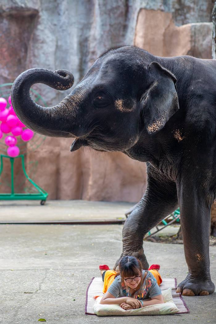 สวนเสือศรีราชา สวนเสือศรีราชา