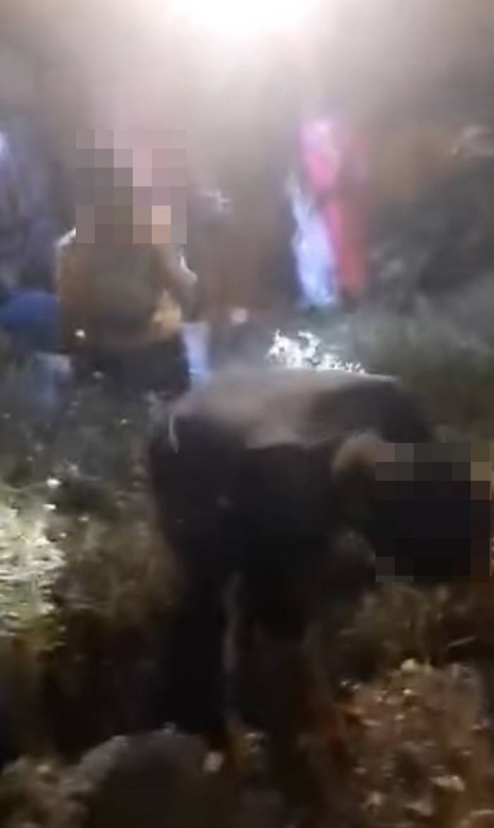 เด็กหนีโรงเรียน เด็กหนีโรงเรียน