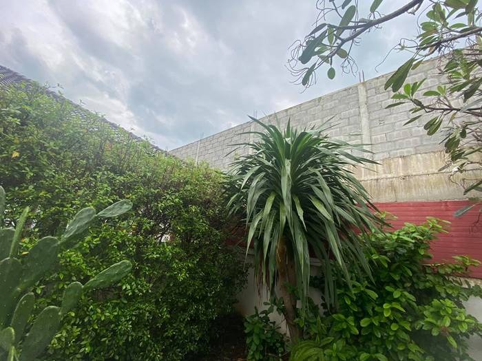 ถมดิน ถมดิน