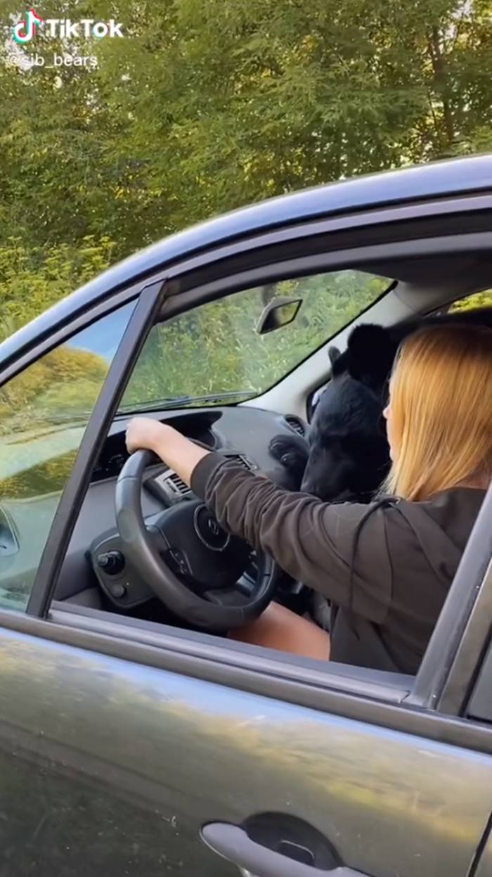 คนกับหมี คนกับหมี