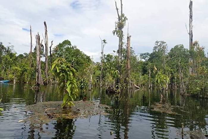 โครงการสร้างฝาย โครงการสร้างฝาย