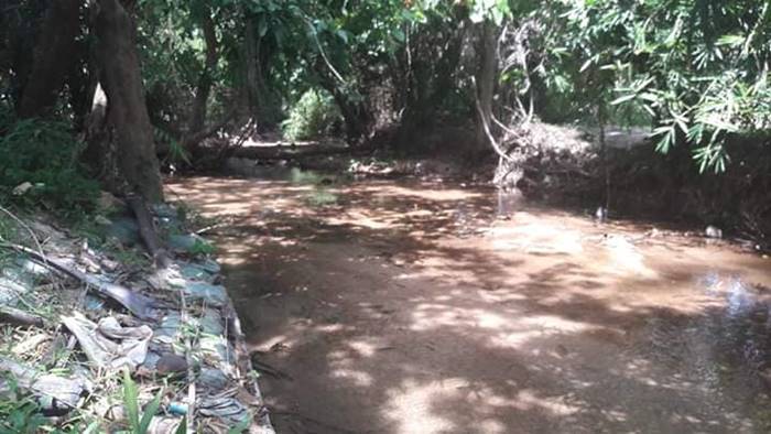 โครงการสร้างฝาย โครงการสร้างฝาย